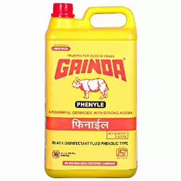 Gainda Black Disinfectant Phenyl 5 Ltr...